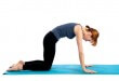 Young woman doing yoga exercise (Bidalasana), isolated on white background.